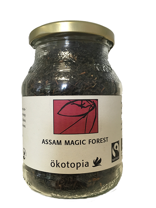 Assam Magic Forest kbA 