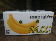 Bananas Organic Class 1 Fairtrade EC 18,14 kg