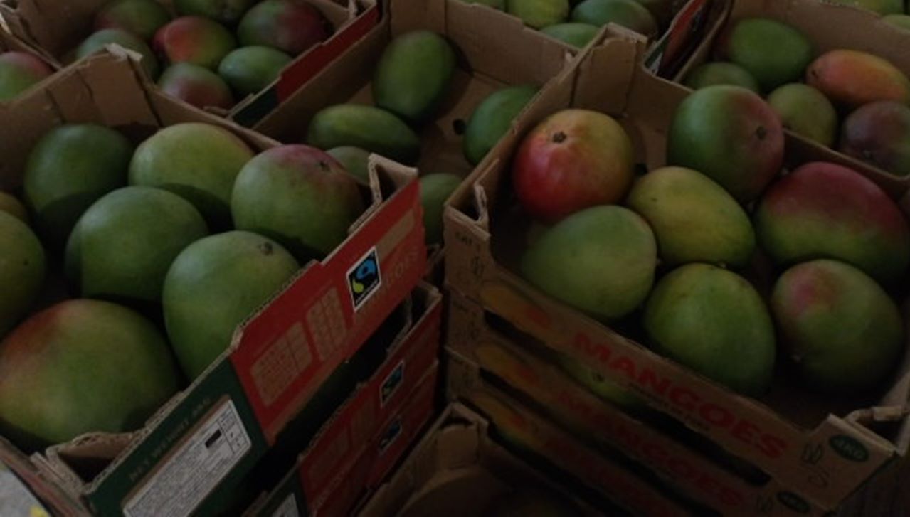 4 kg mangoes