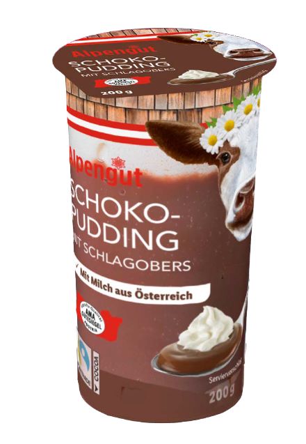 Schoko Pudding mit Schlagobers